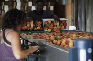 Mom Who Runs blogger, Vicki at Quiet Acres packing barn