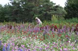 The most romantic herb farm in all of Canada!